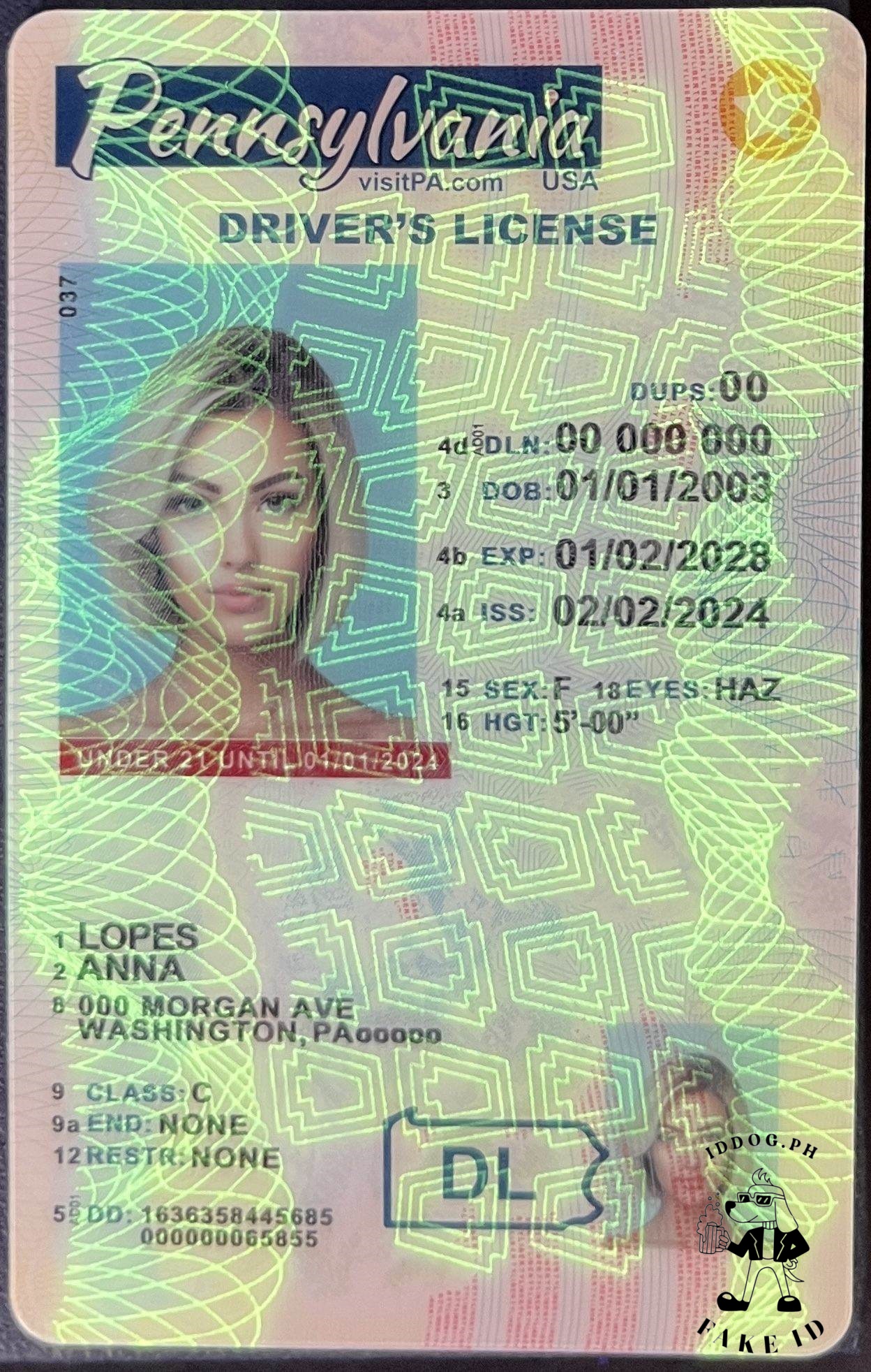 Pennsylvania(U21) Fake ID