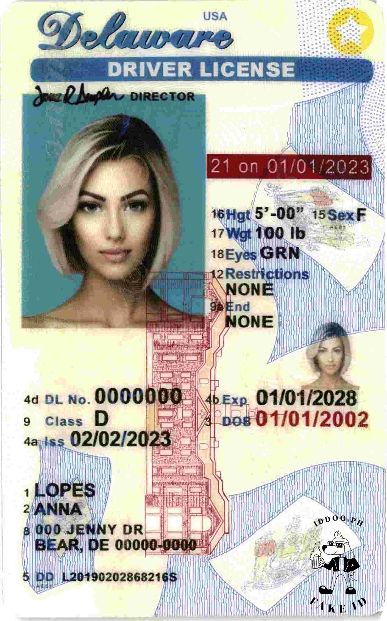Delaware(U21) Fake id