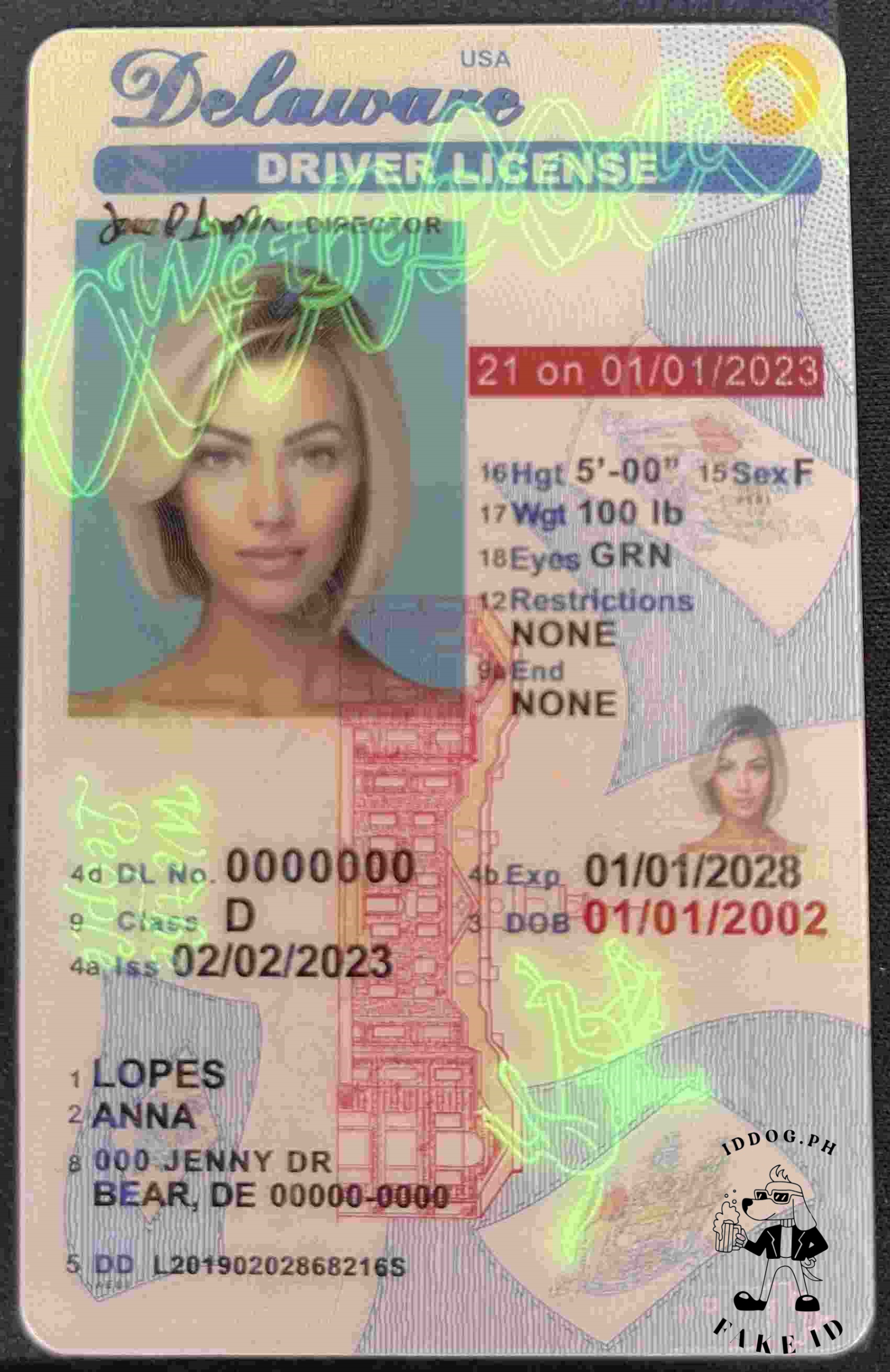 Delaware(U21) Fake id