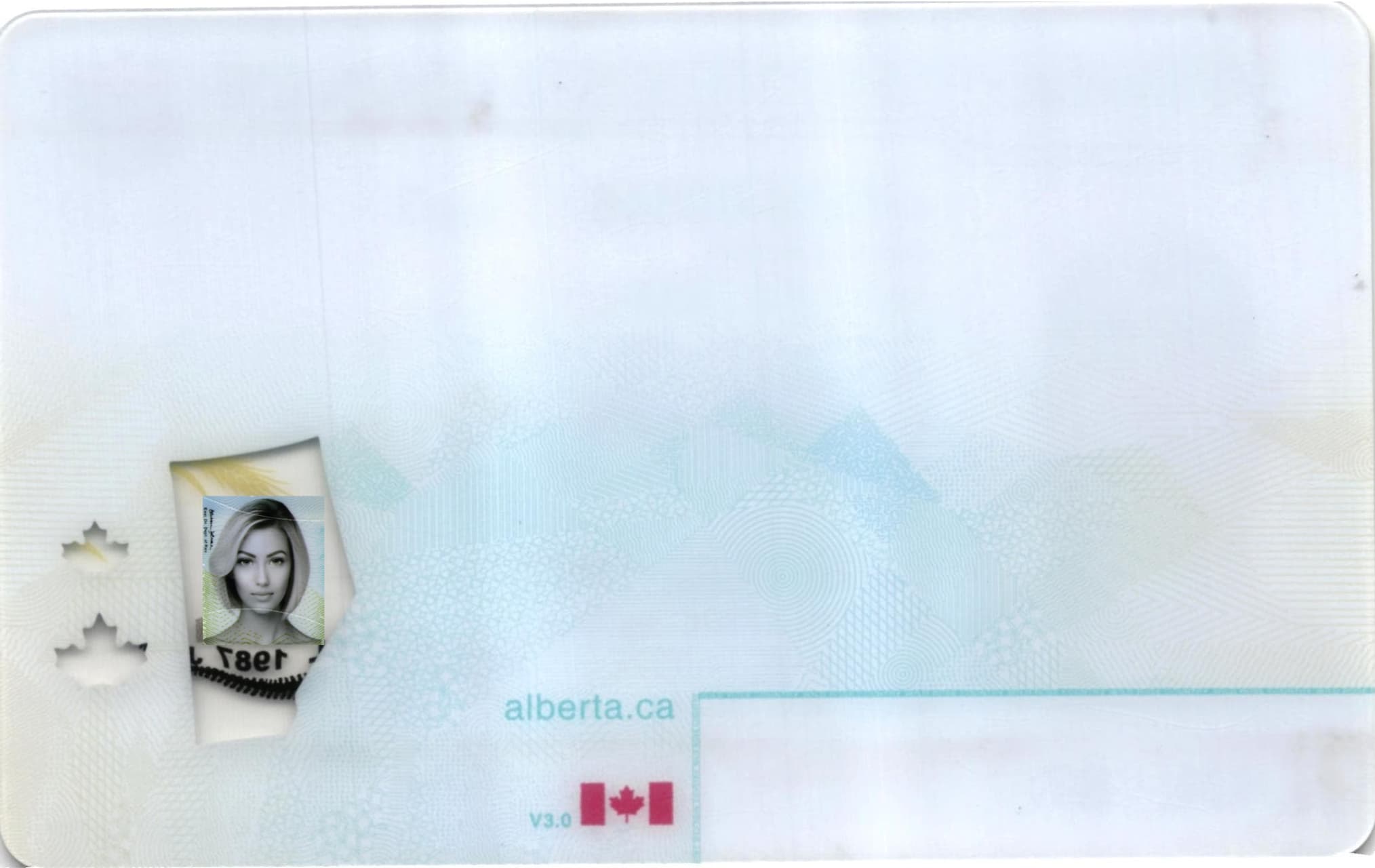 Alberta Canada Fake ID