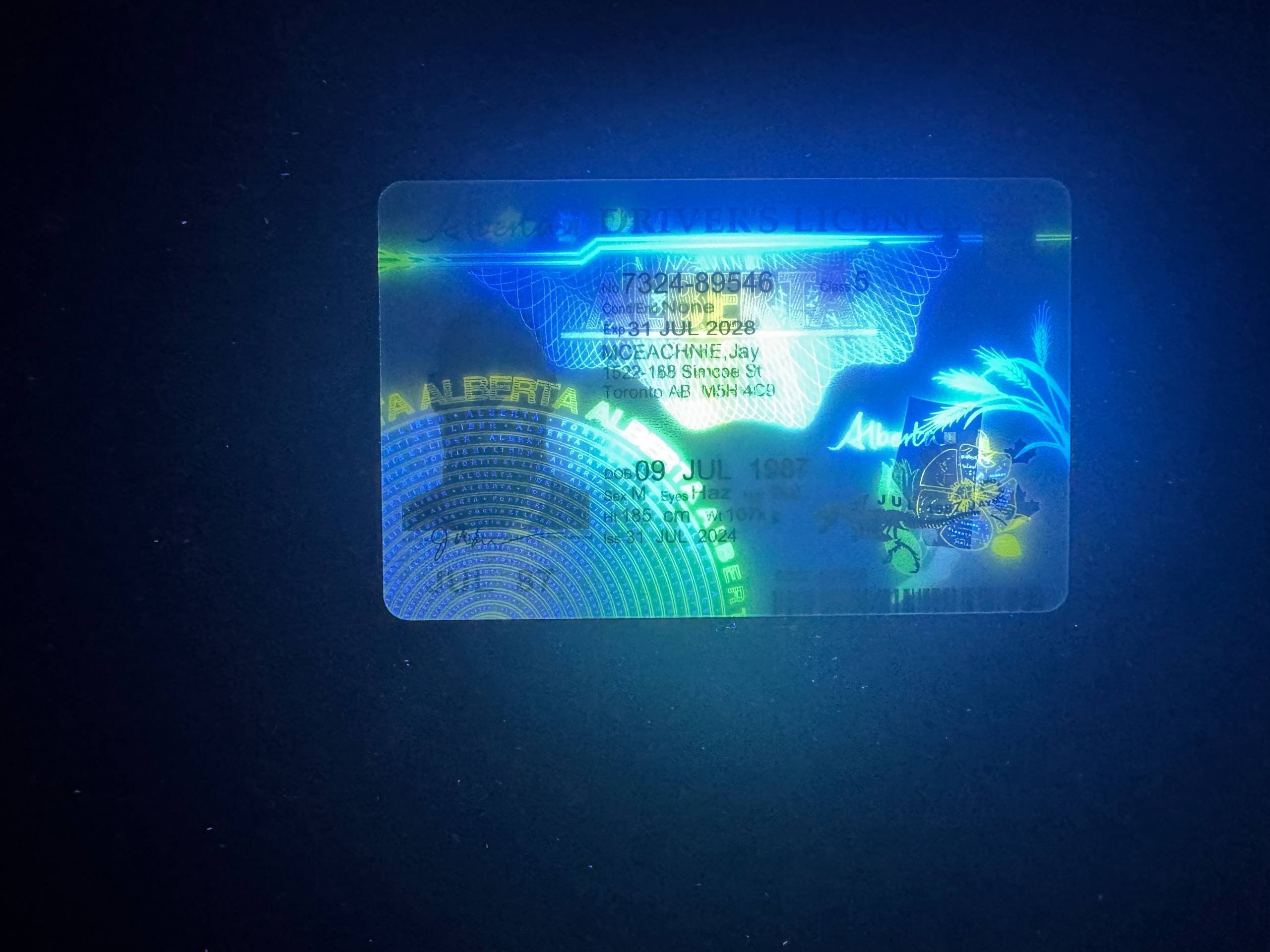 Alberta Canada Fake ID