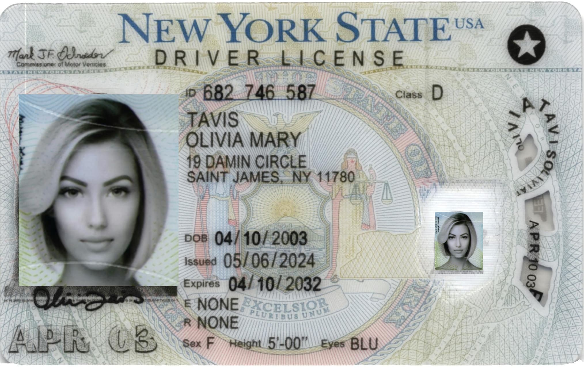 New York Fake ID-(NEW)