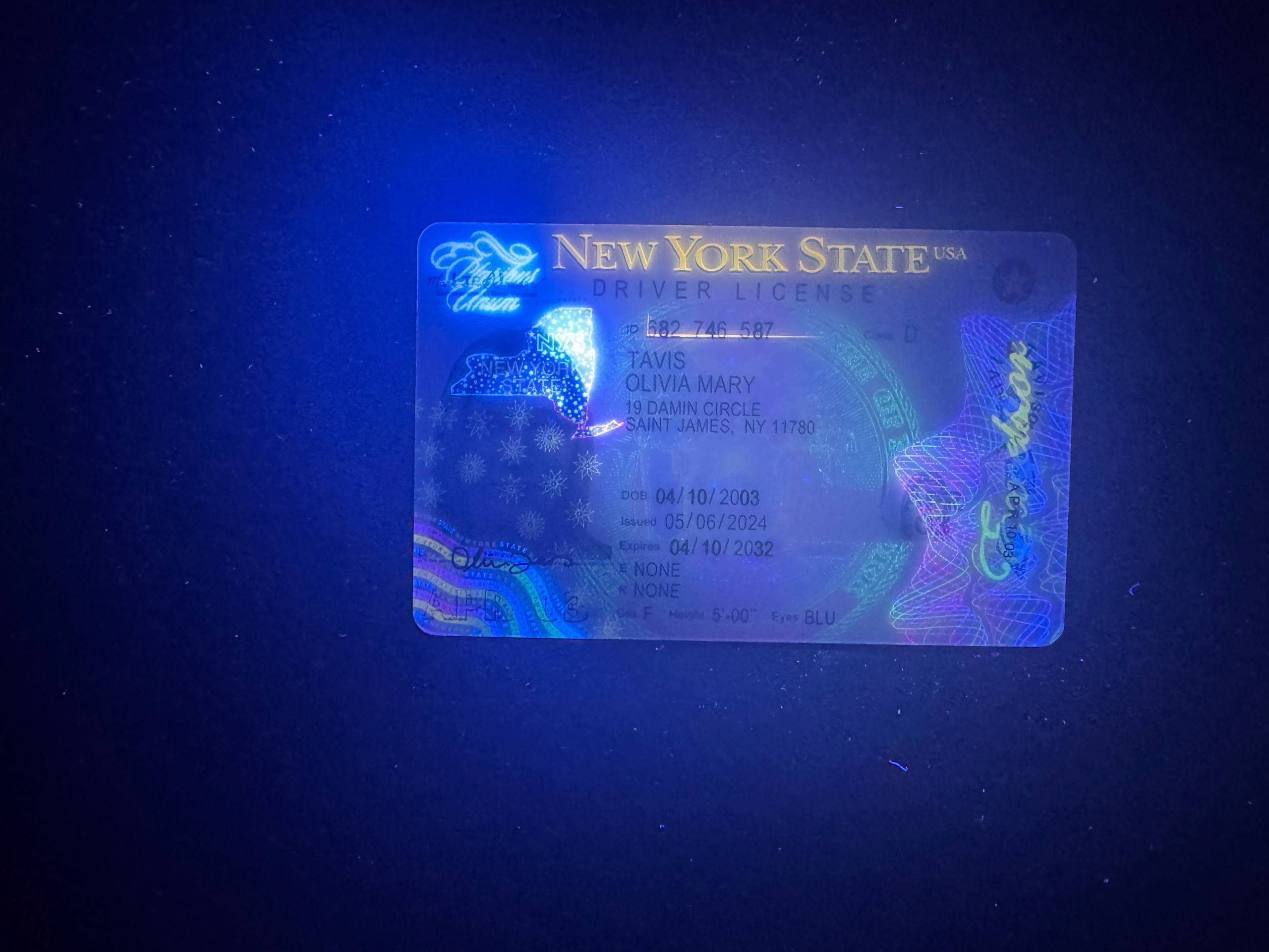 New York Fake ID-(NEW)