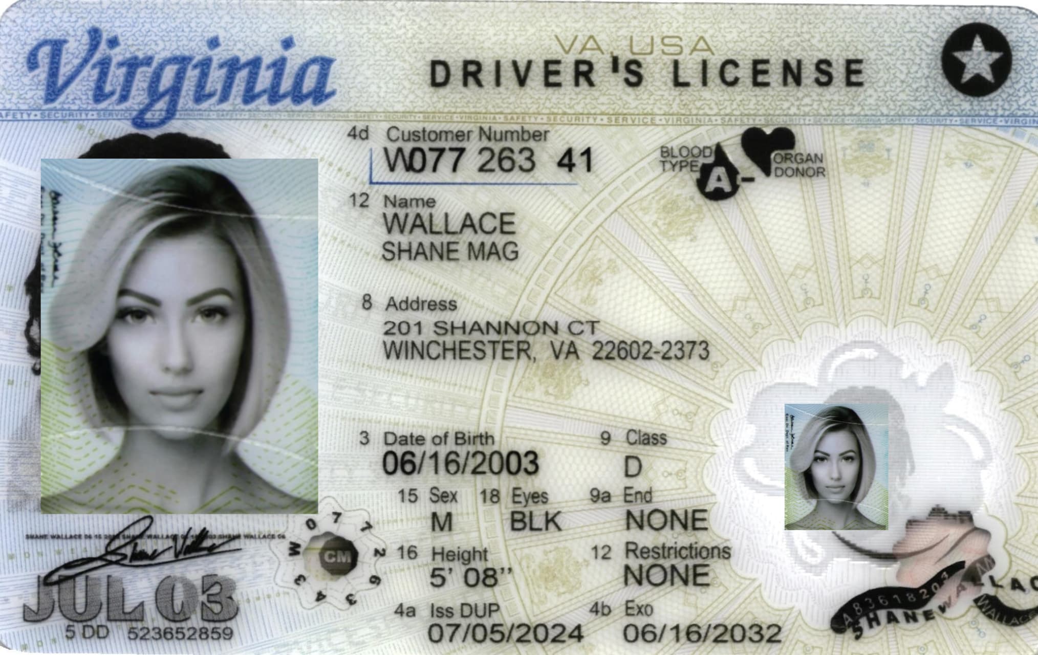Virginia Fake ID-(NEW)