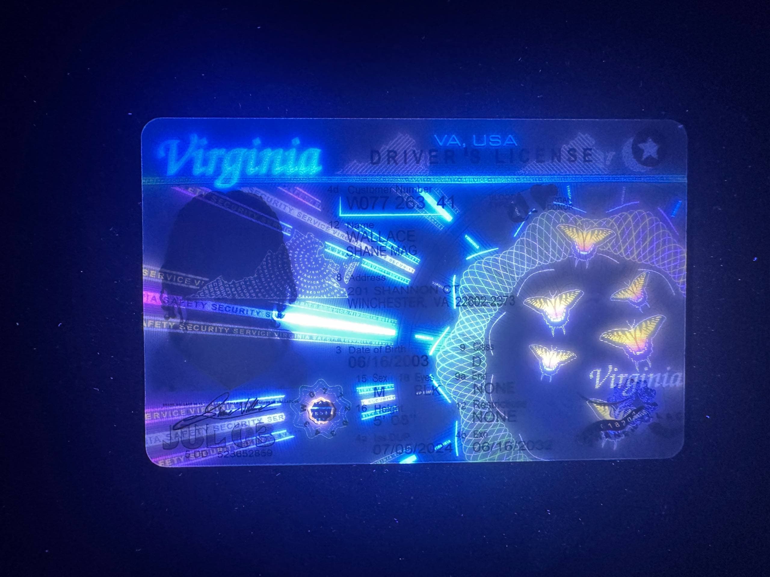 Virginia Fake ID-(NEW)