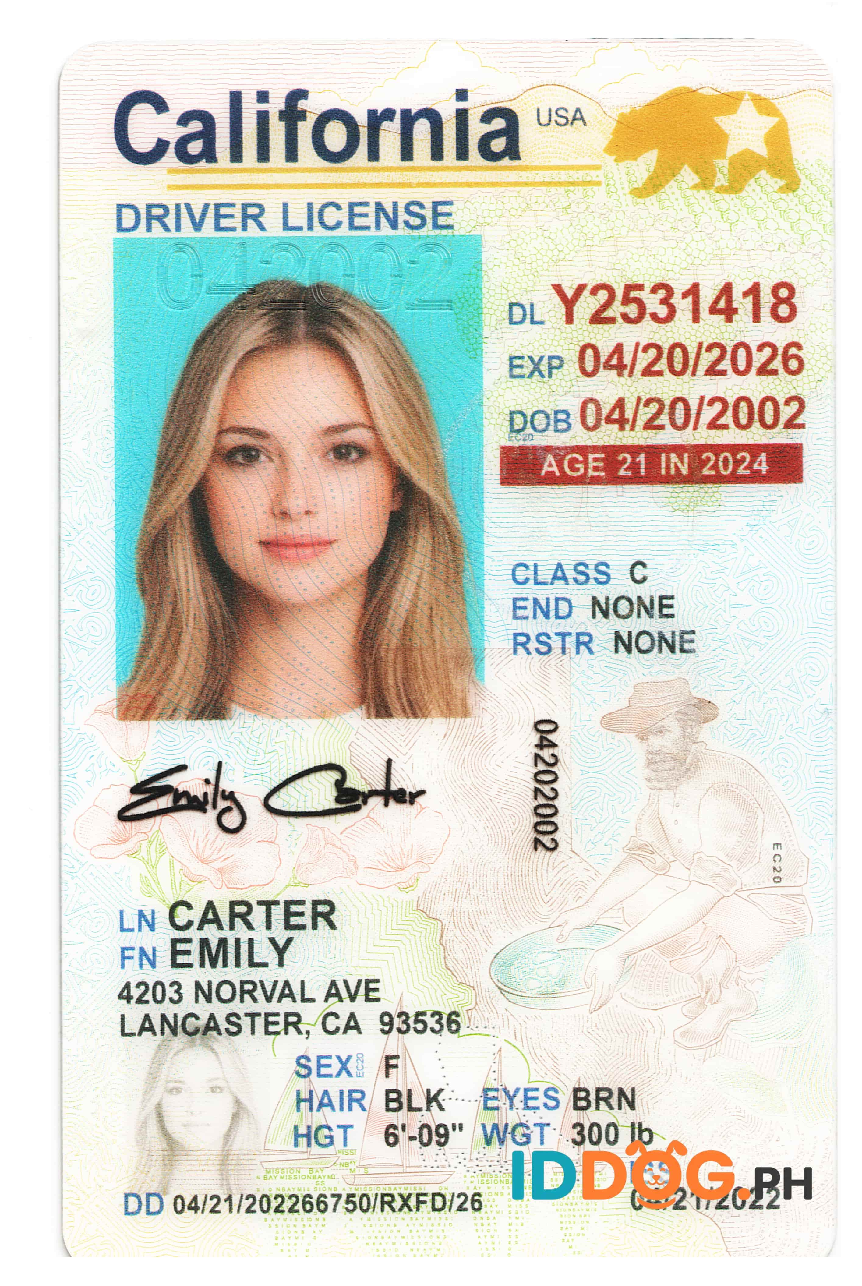 California(U21) Fake ID