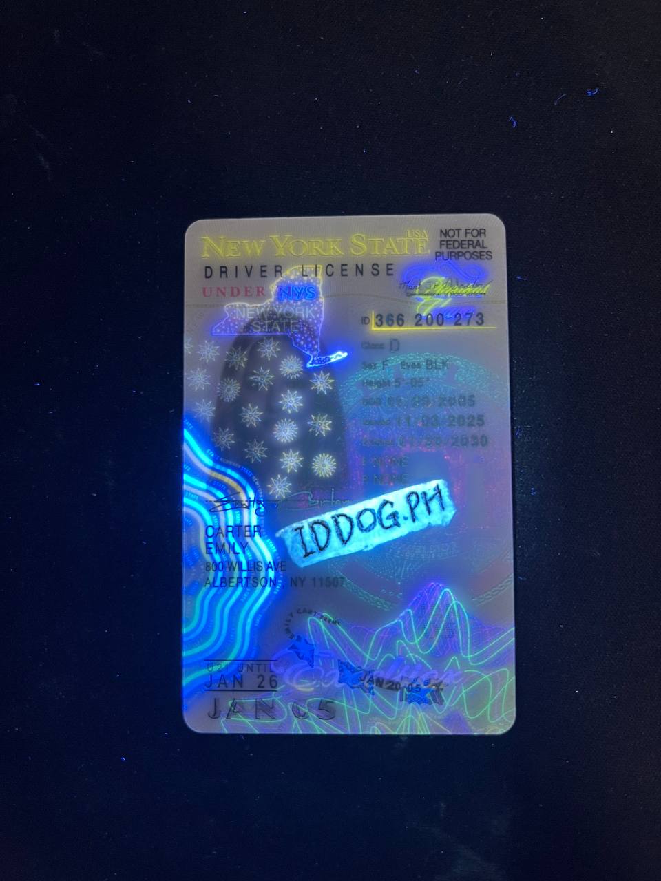 New York(U21) Fake ID