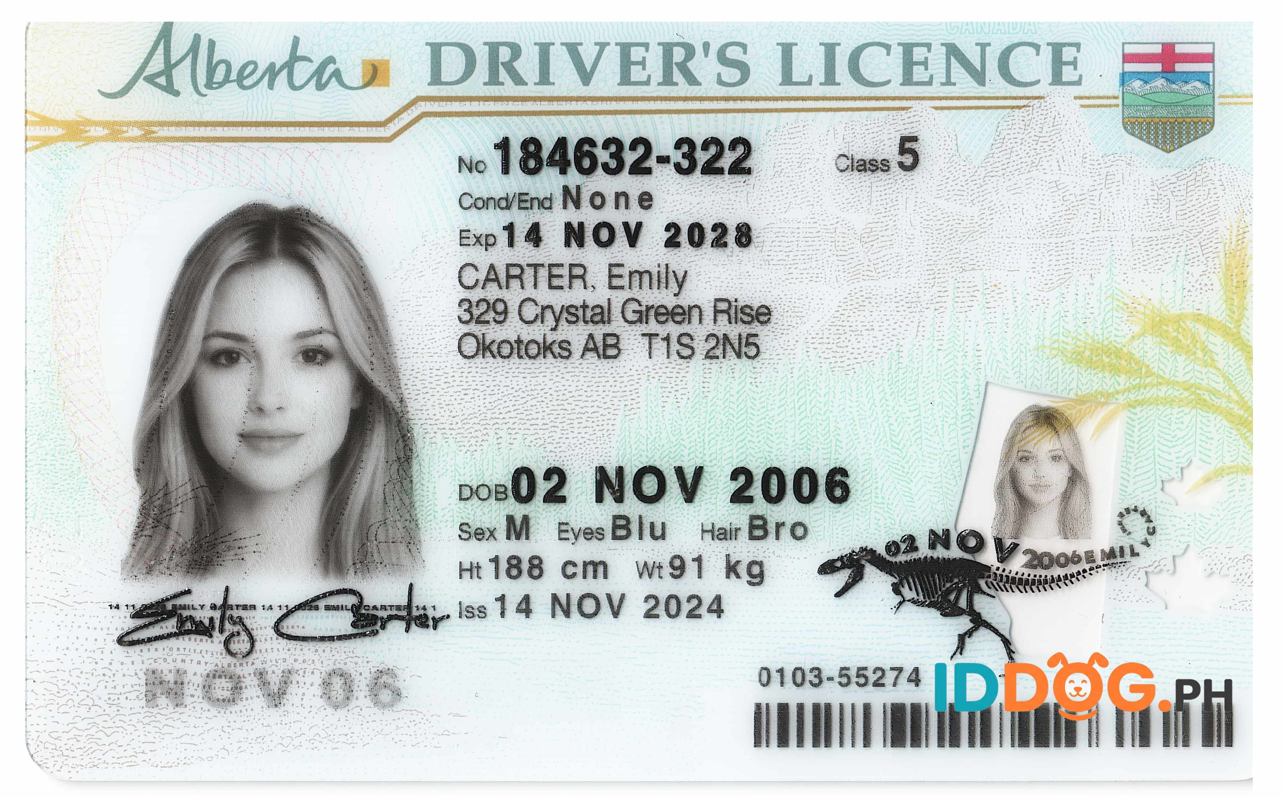 Alberta Fake ID