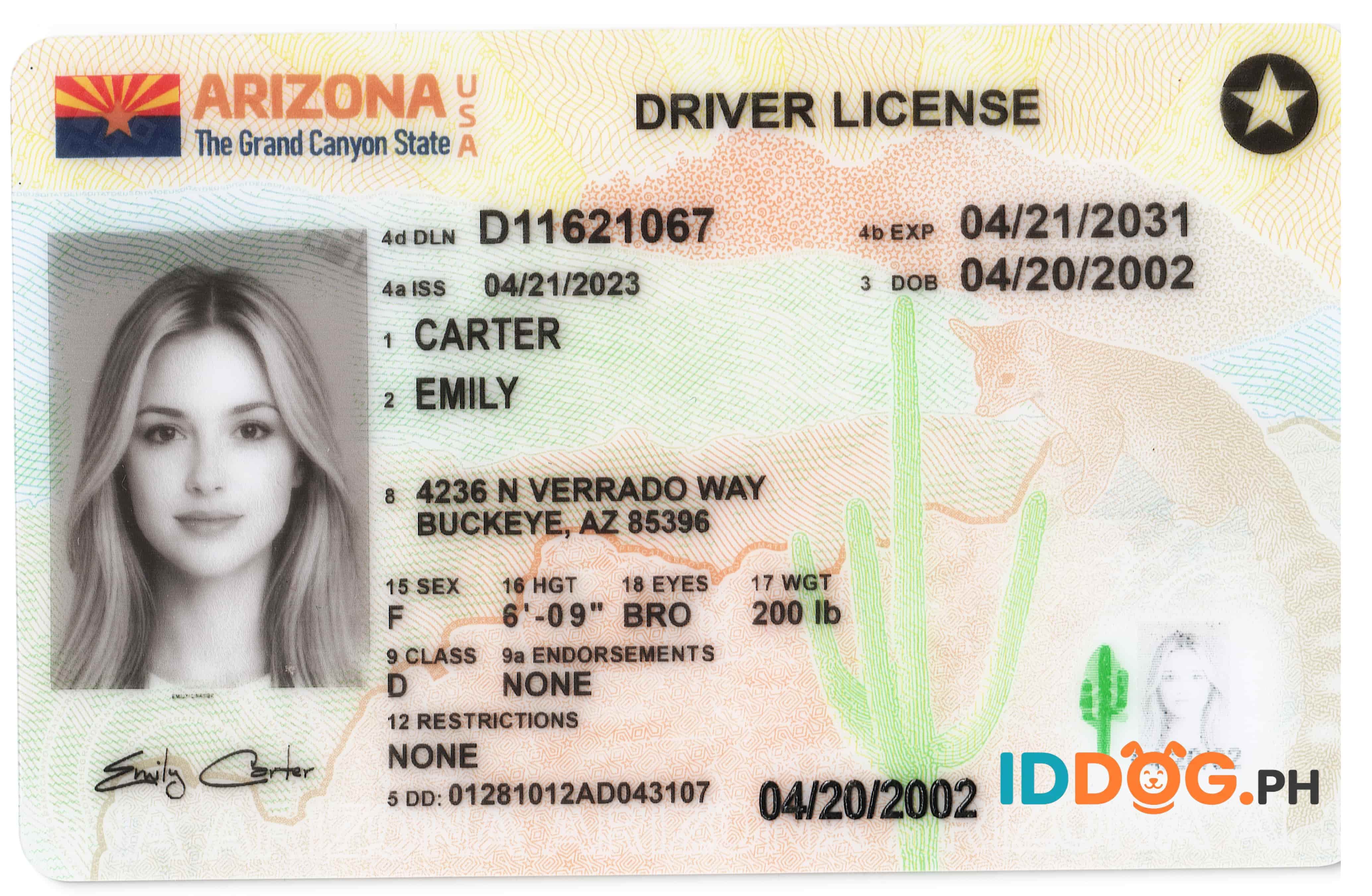 Arizona(O21) Fake ID