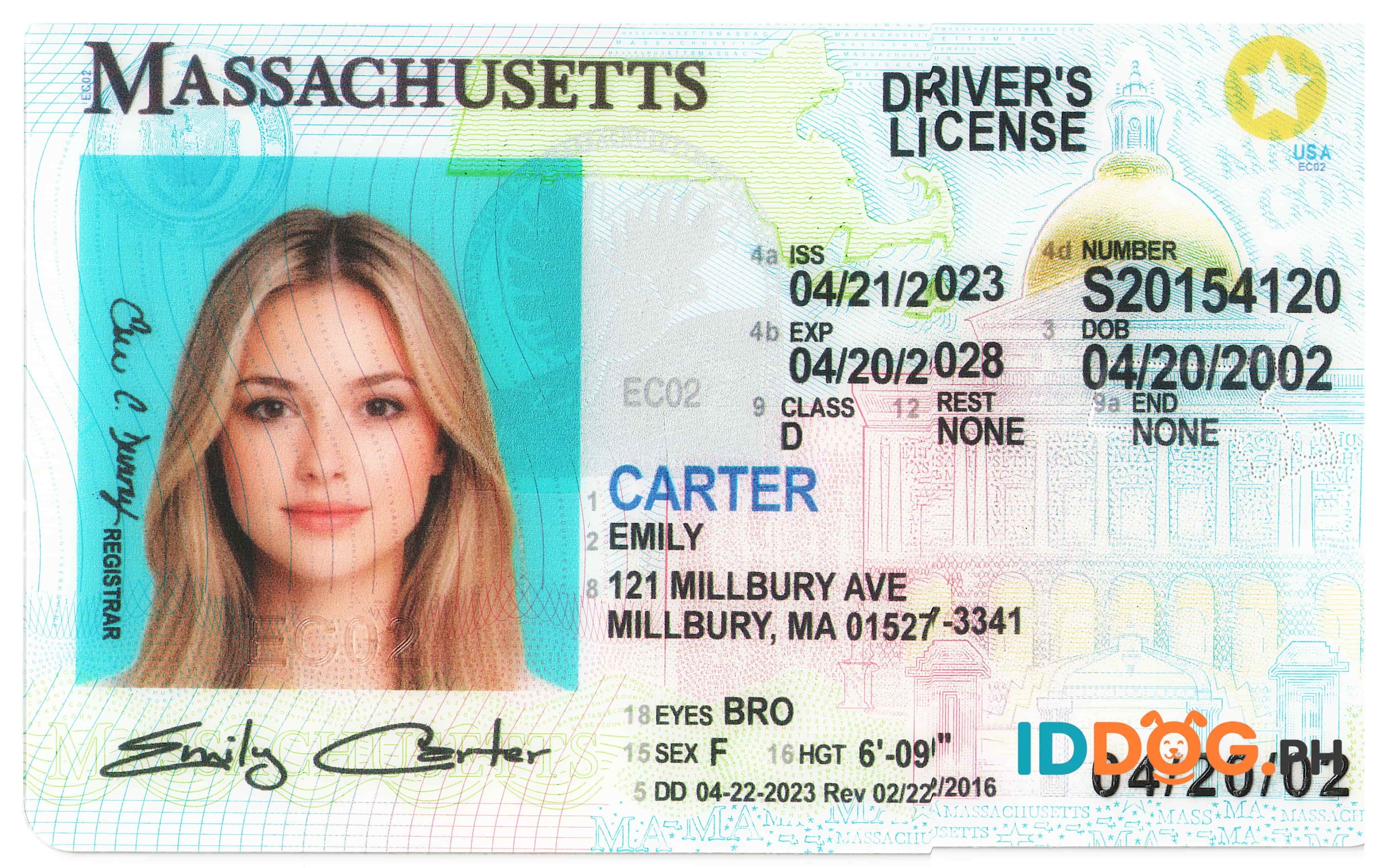 Michigan(NEW) Fake ID