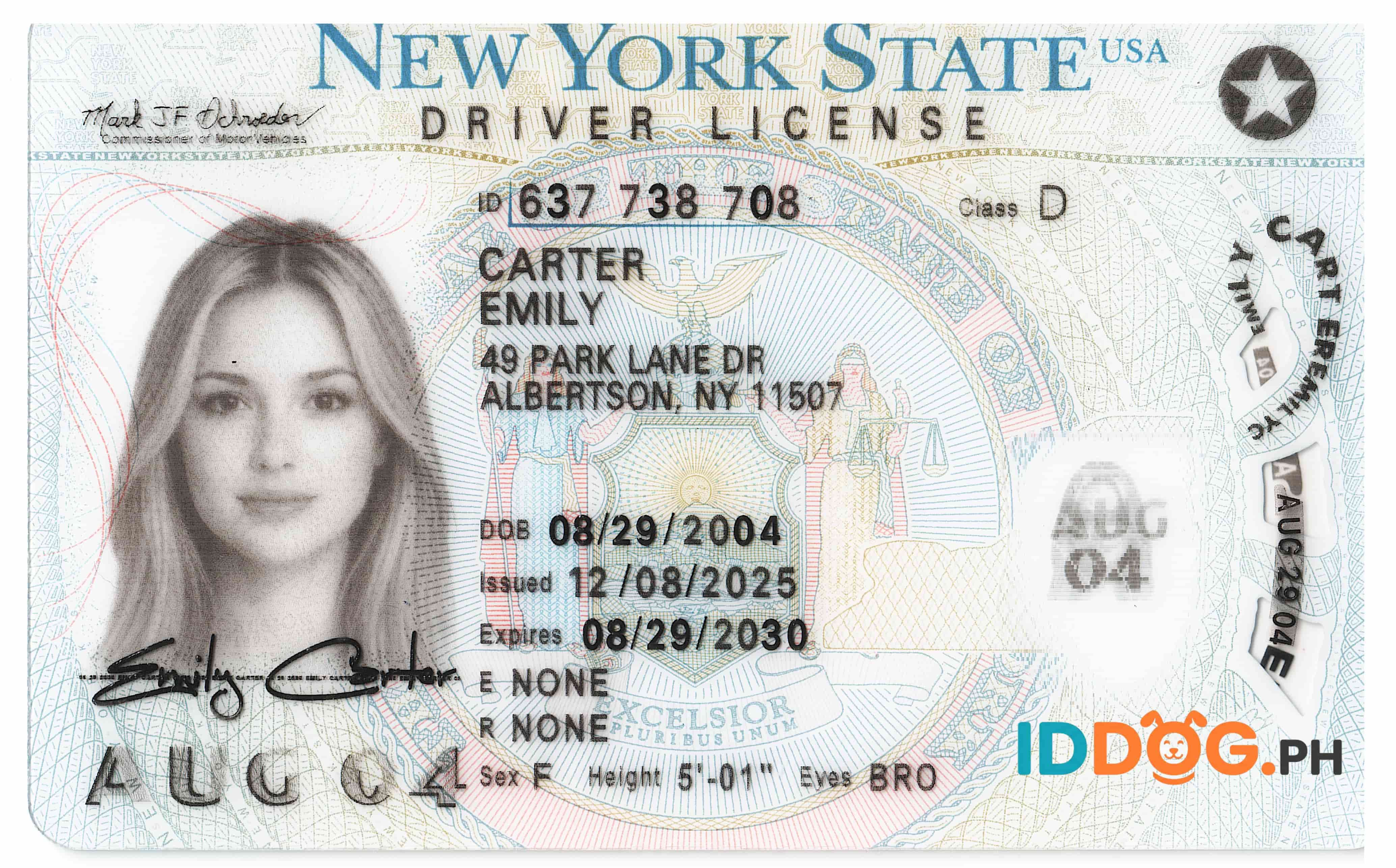 New York Fake ID-(NEW)