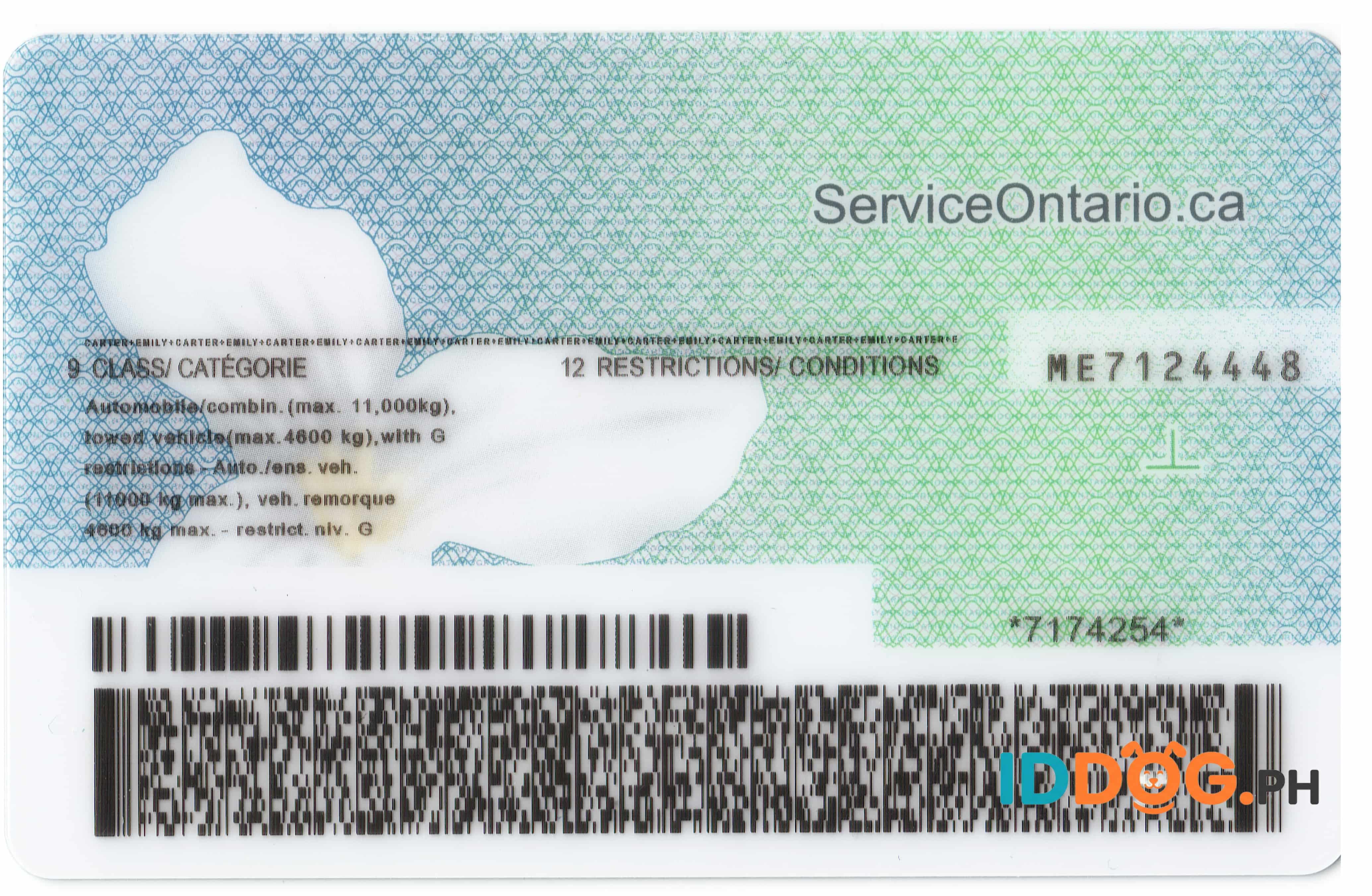Ontario Fake ID