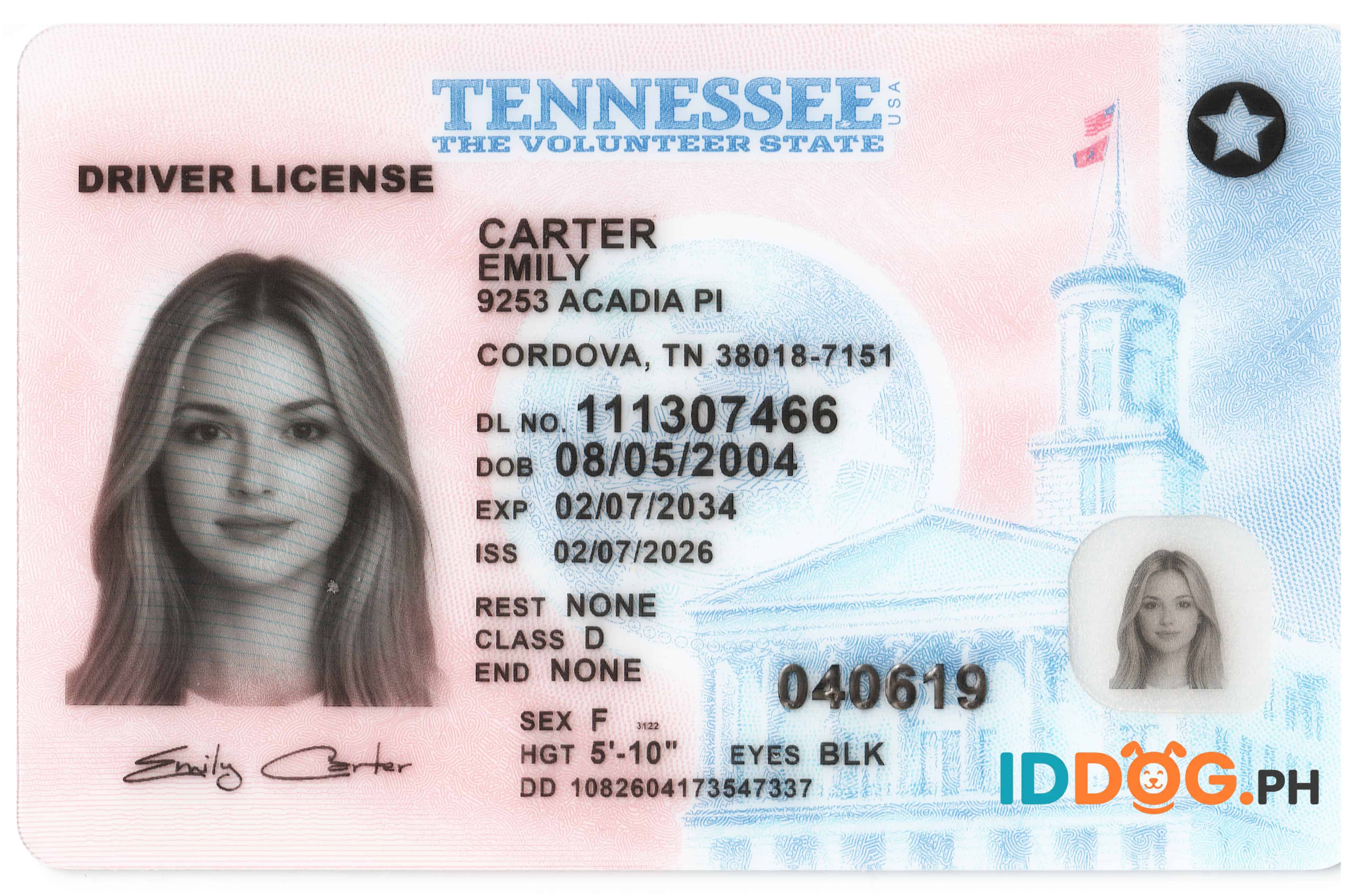 Tennessee (NEW)Fake ID