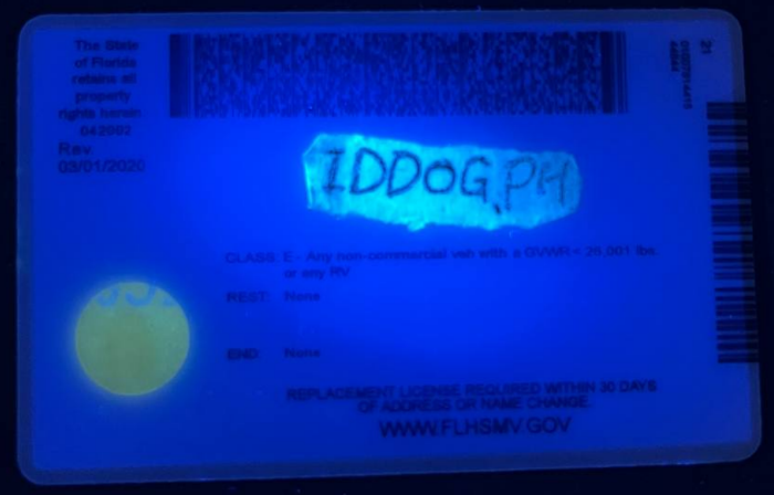 Florida-2 Fake ID