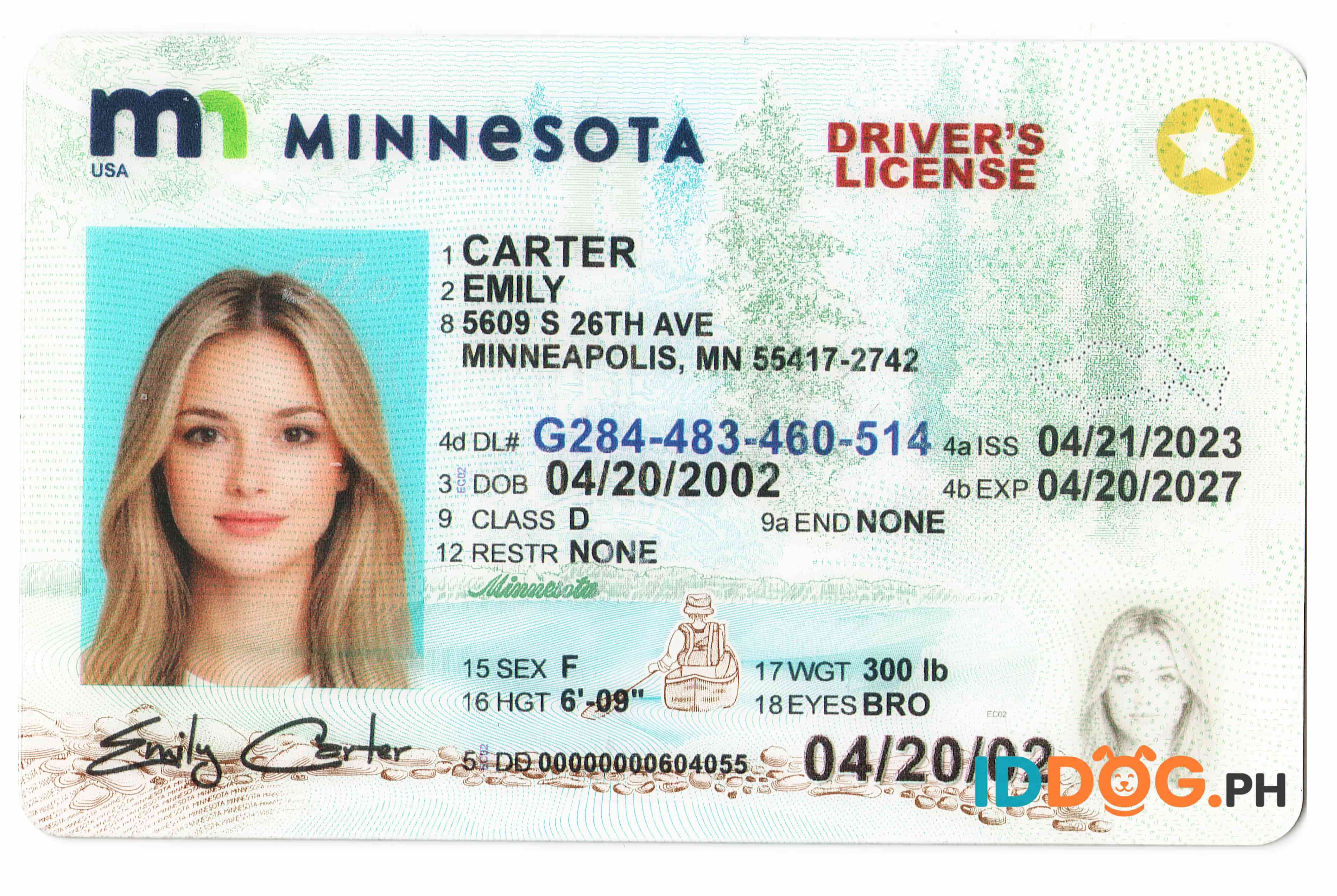 Minnesota Fake ID