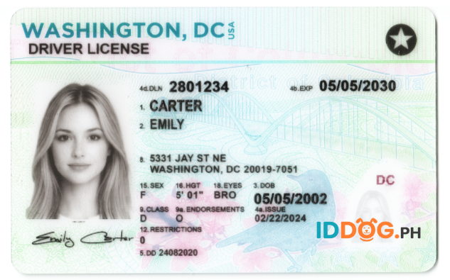 Washington(NEW) Fake ID