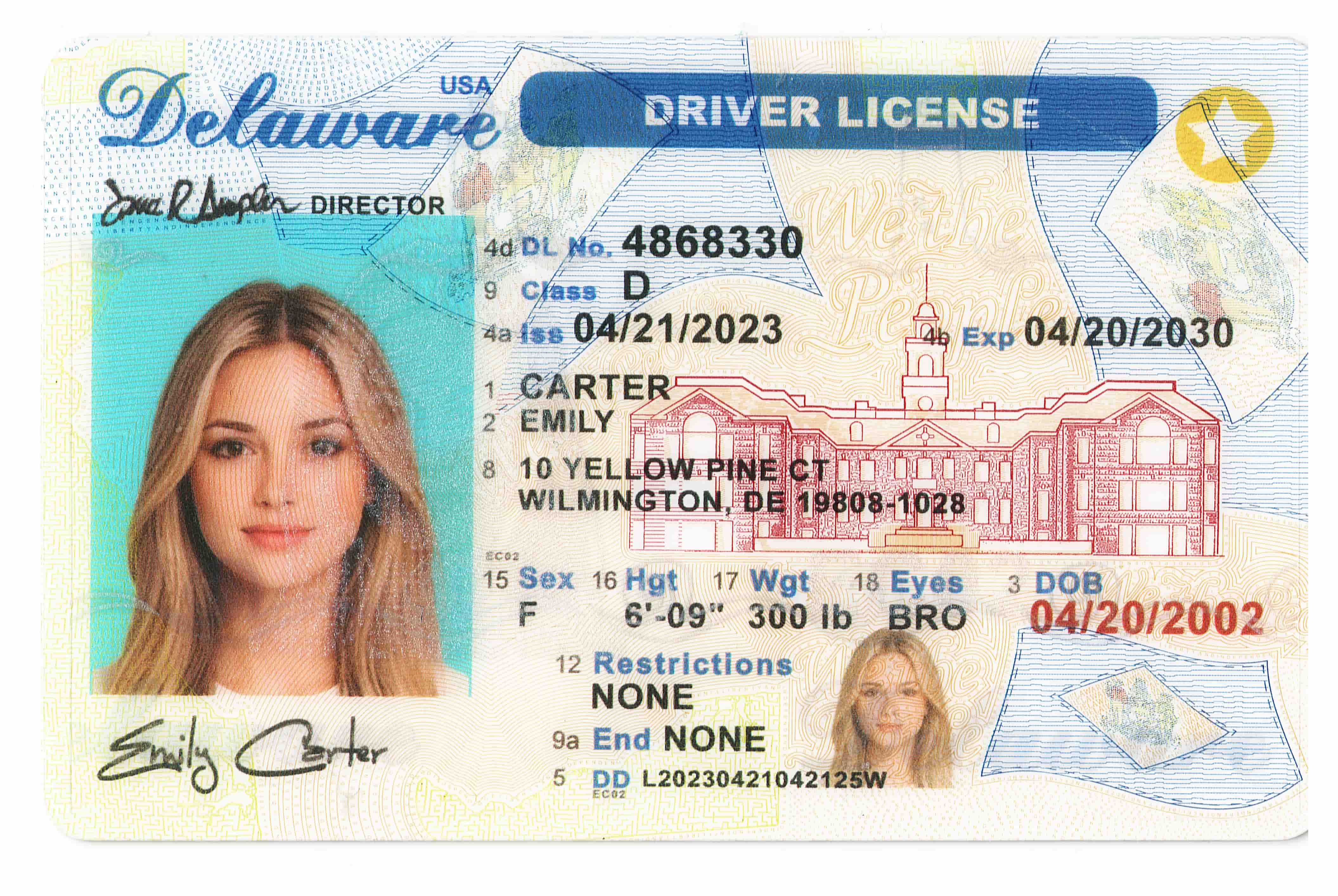 Delaware(O21) Fake id