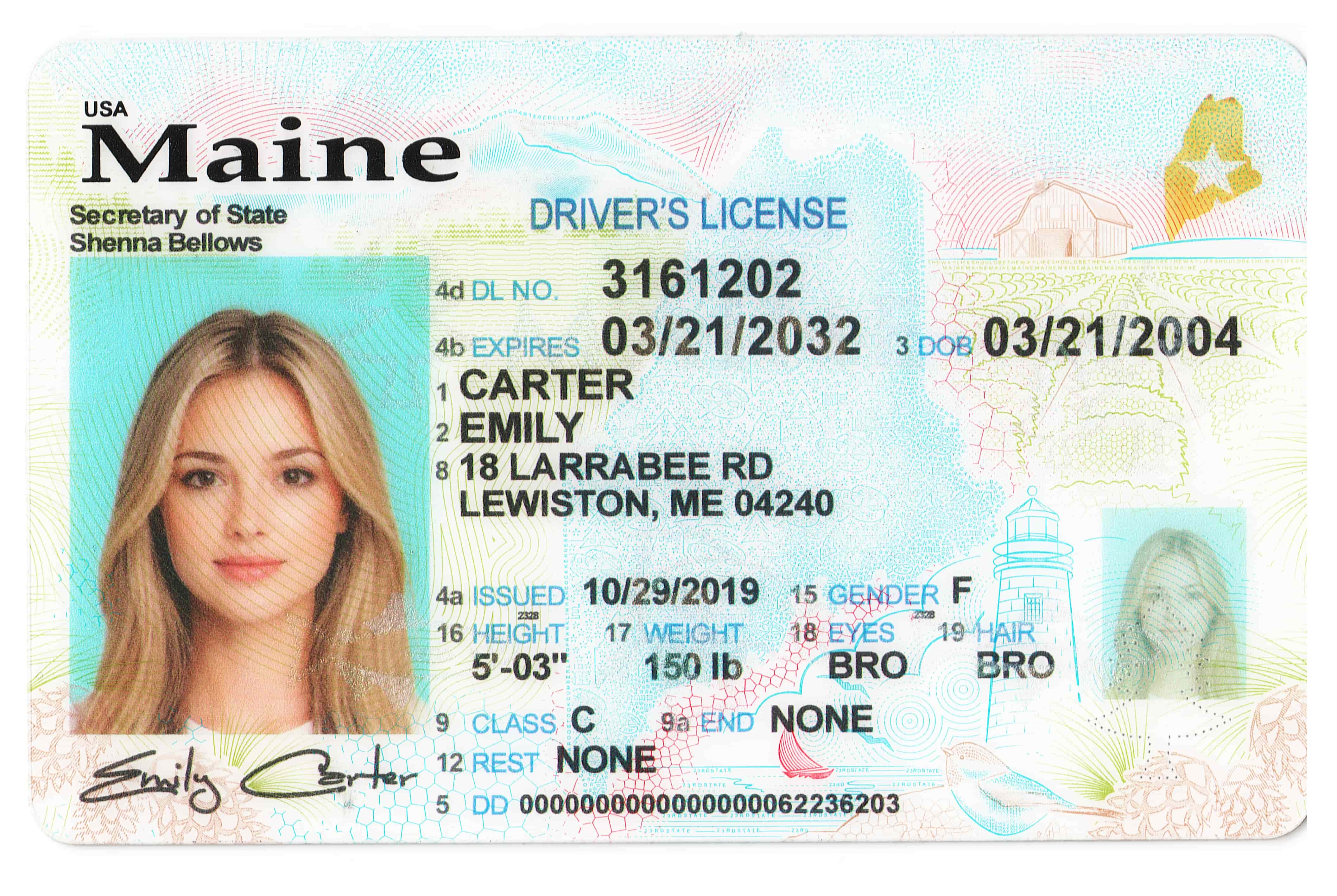 Maine Fake ID