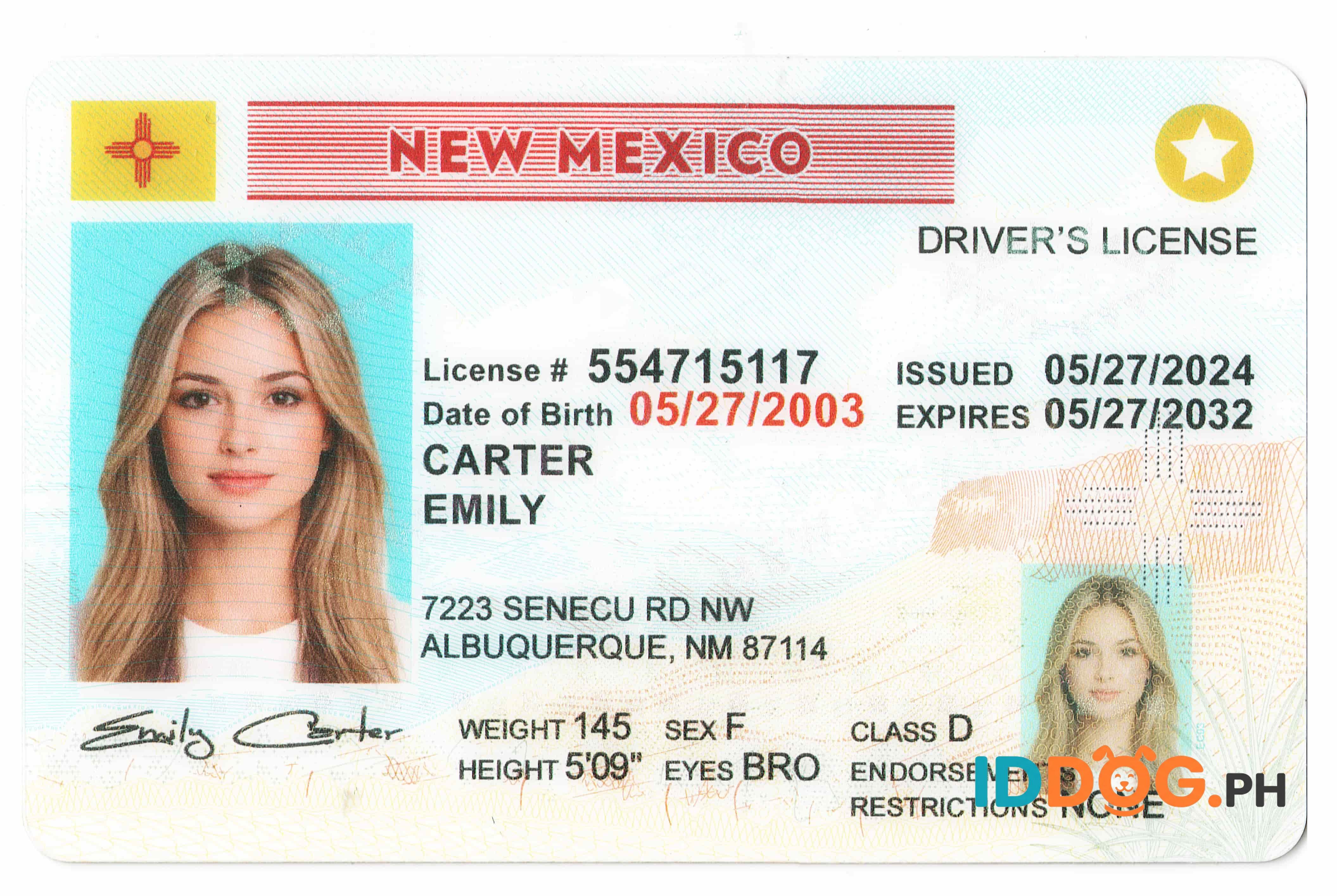 New Mexico Fake ID