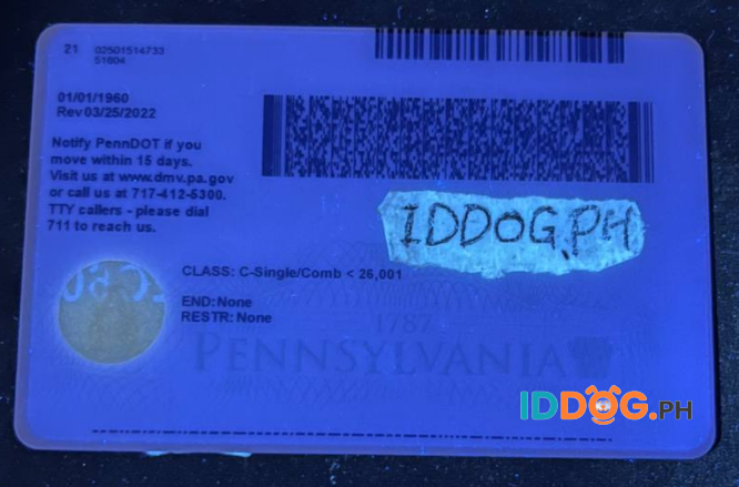 Pennsylvania Fake ID