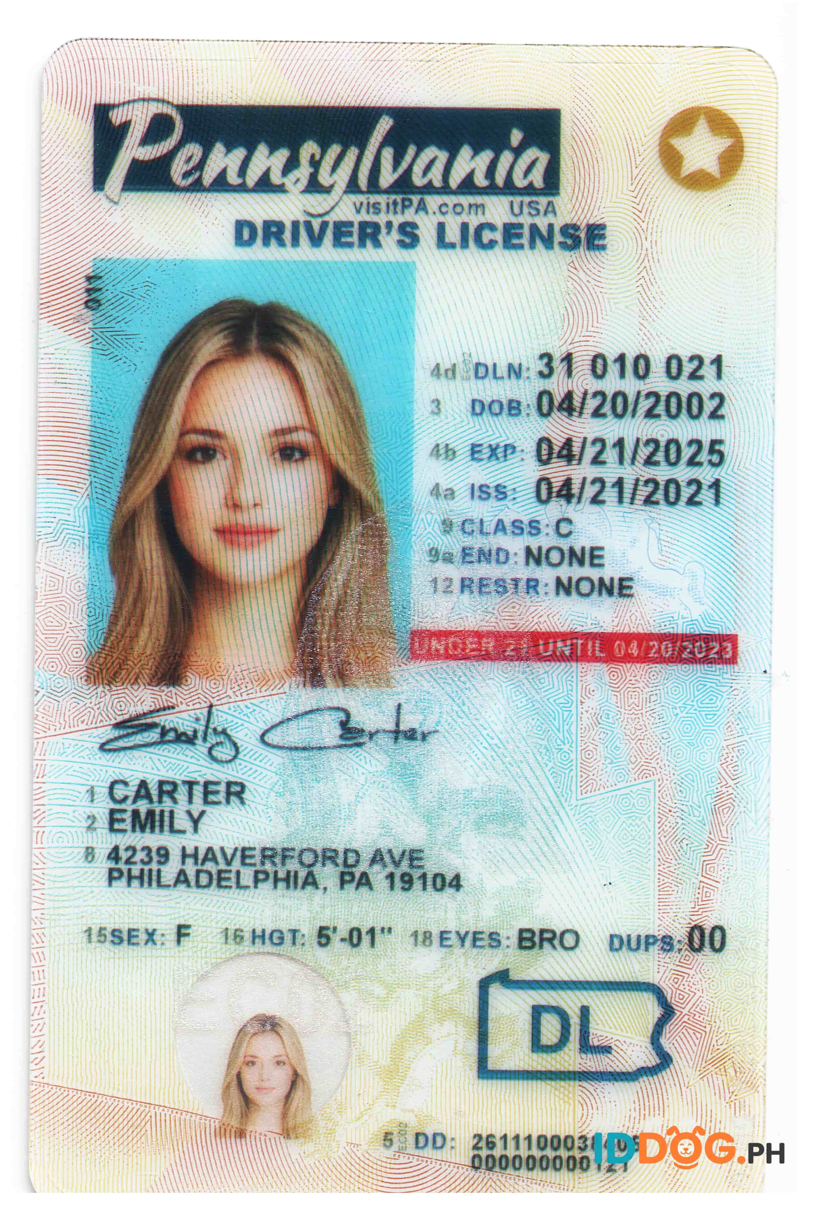 Pennsylvania(U21) Fake ID