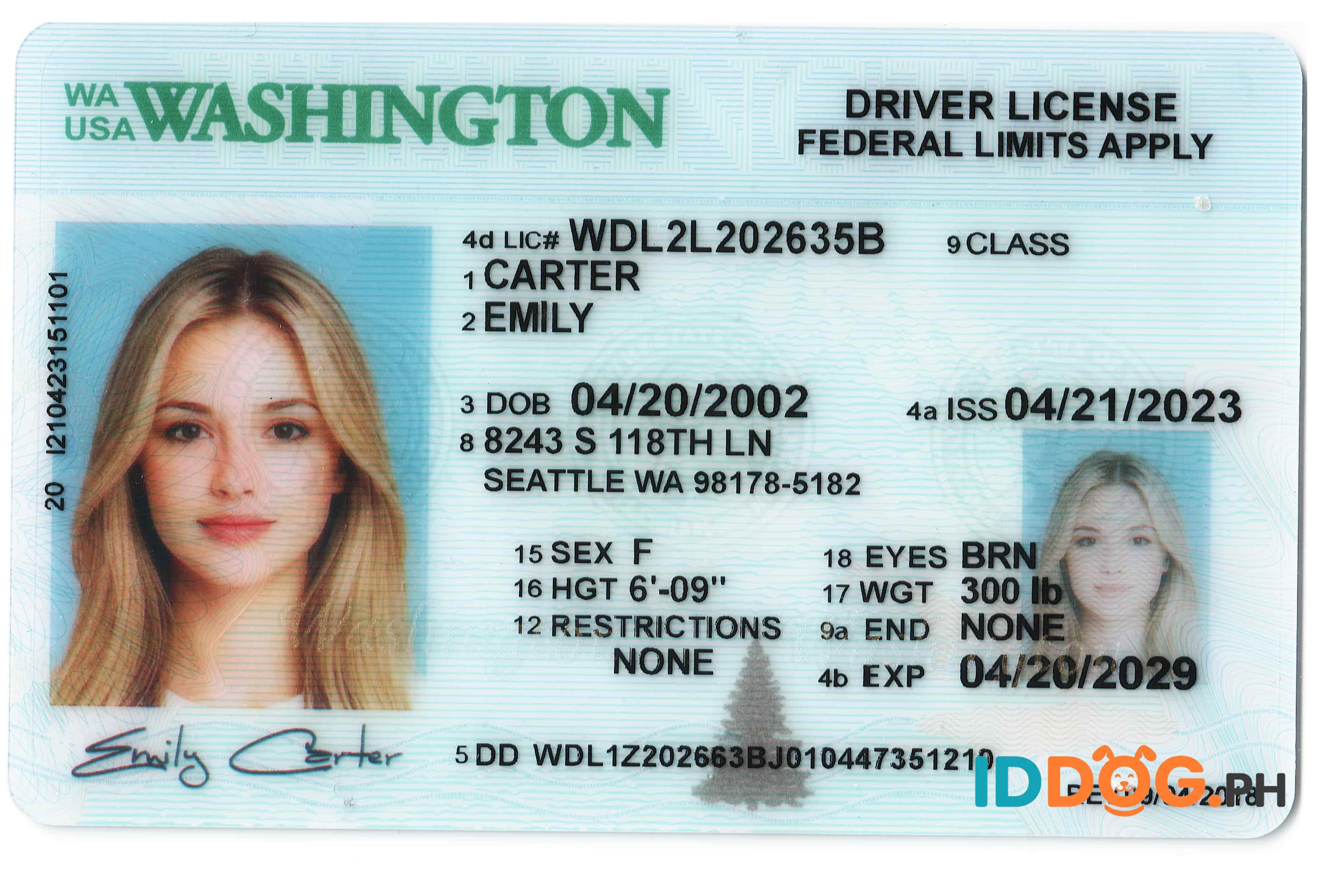Washington Fake ID