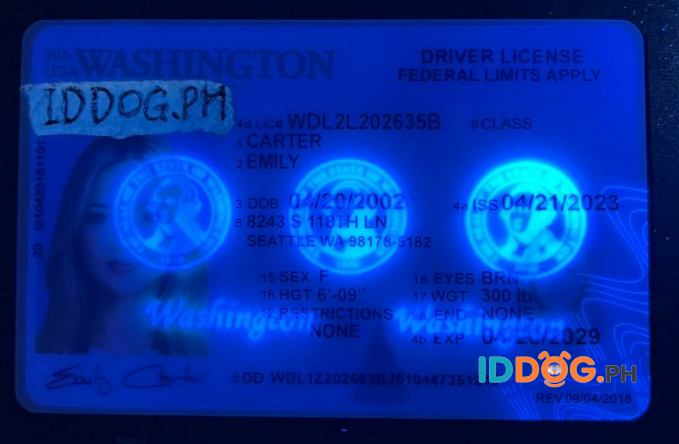 Washington Fake ID