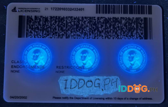 Washington Fake ID