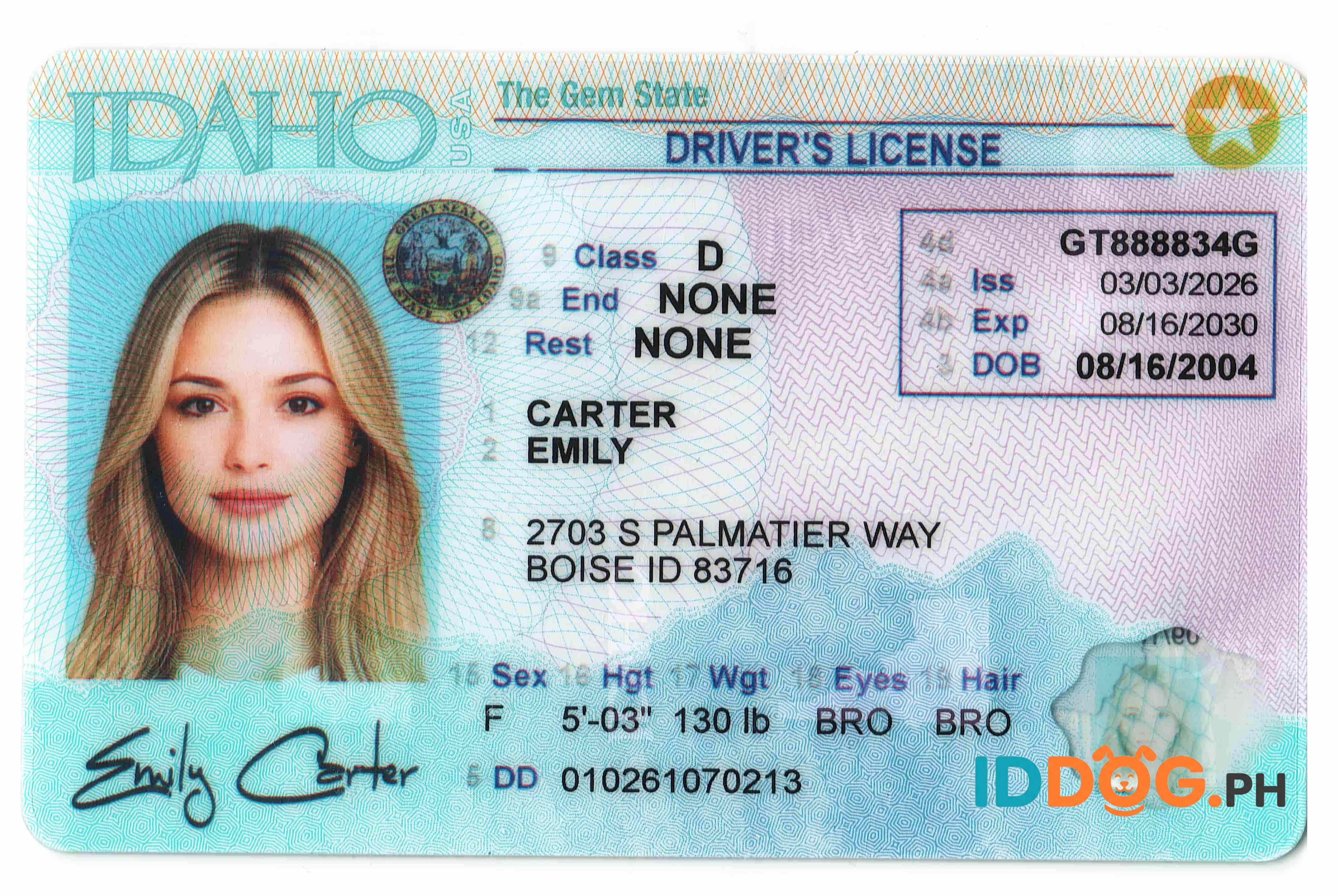 Idaho (NEW) Fake ID