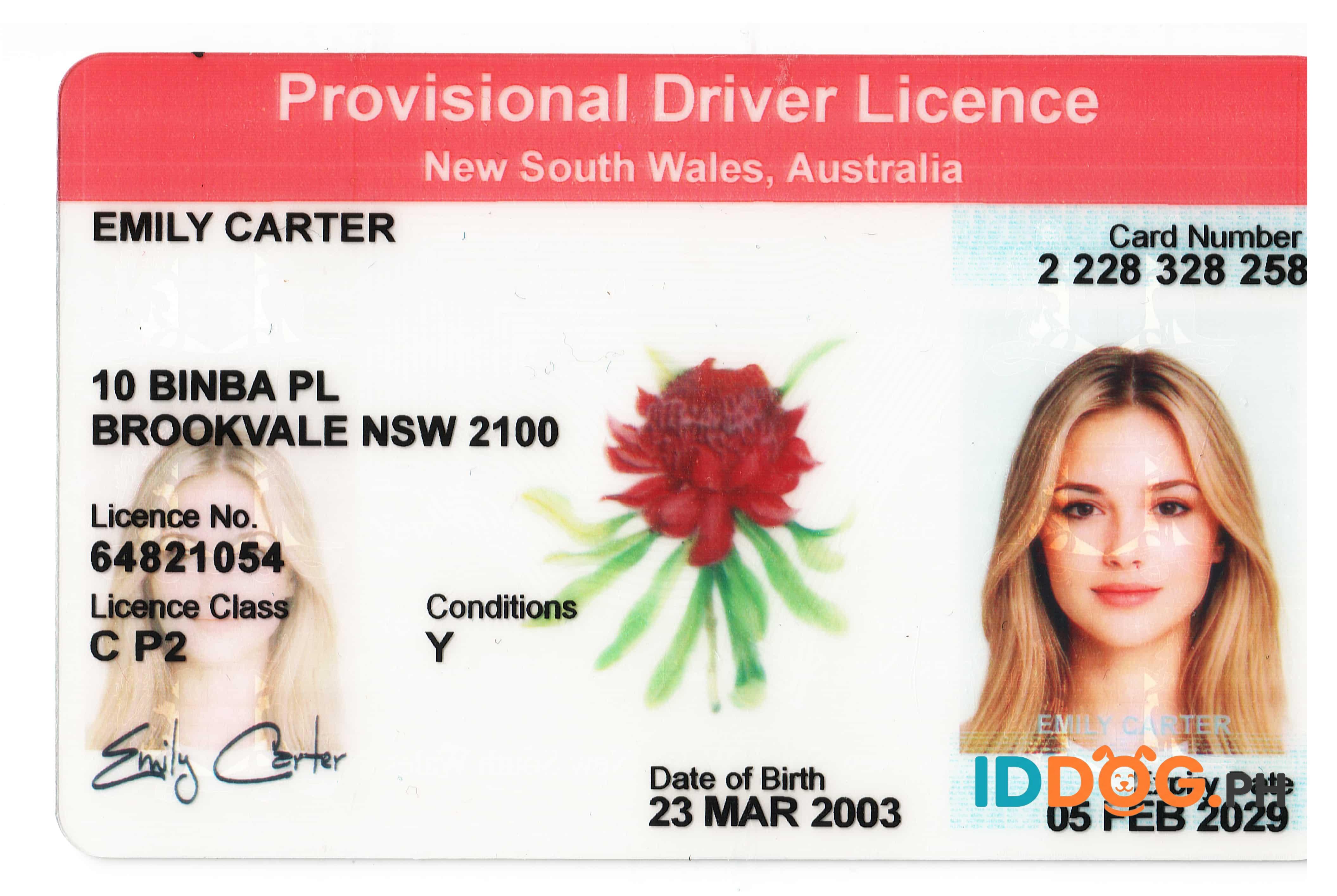 New South Wales Fake ID