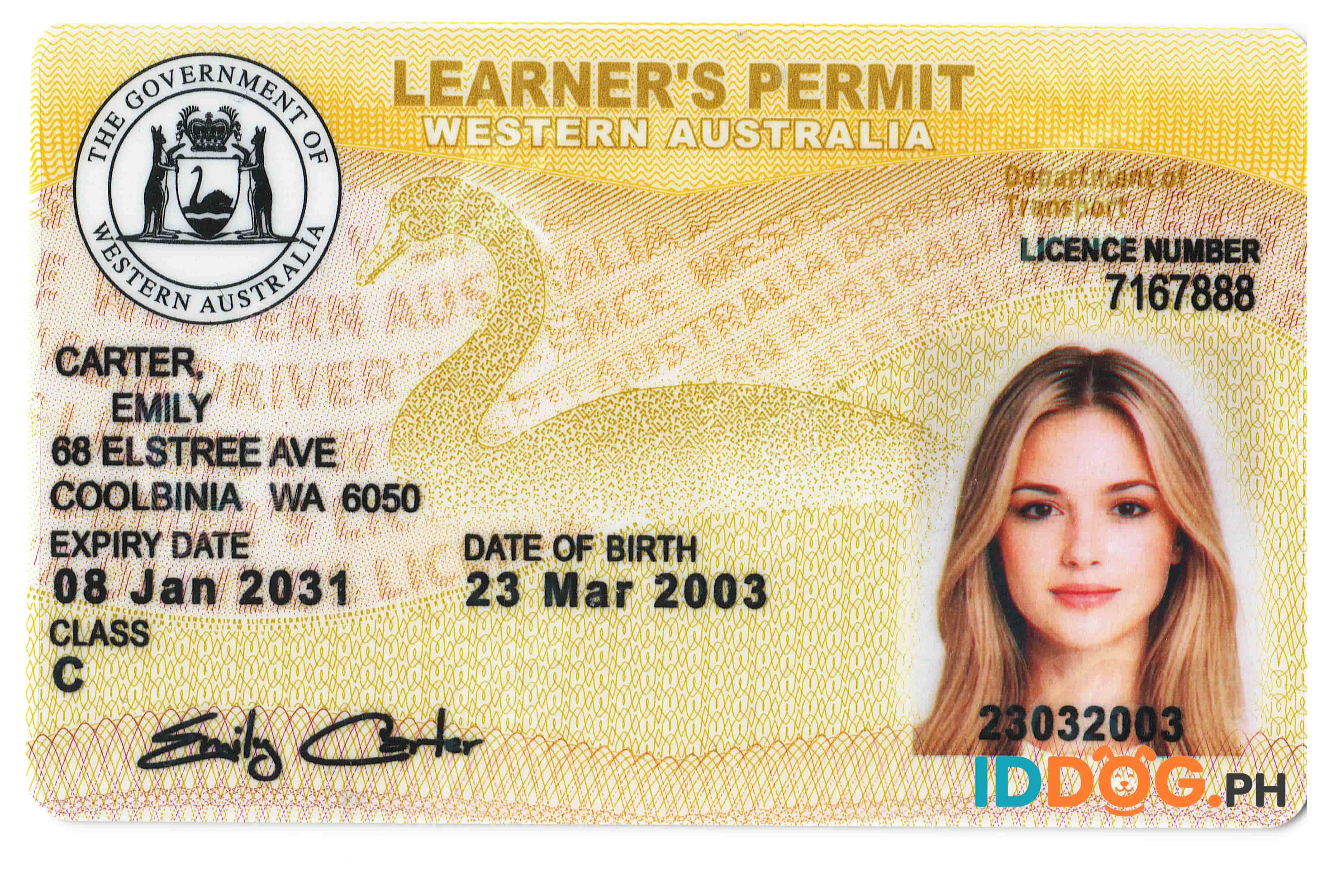 Western Australia Fake ID