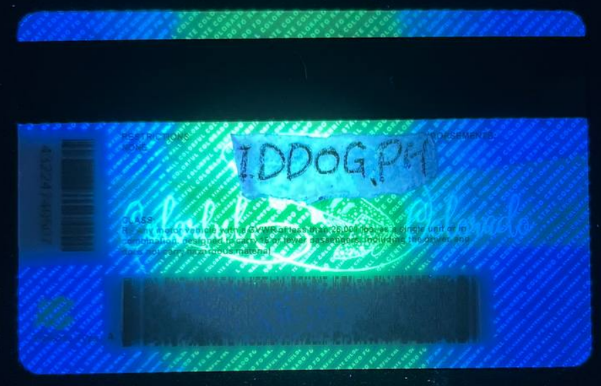 Colorado (NEW) Fake ID