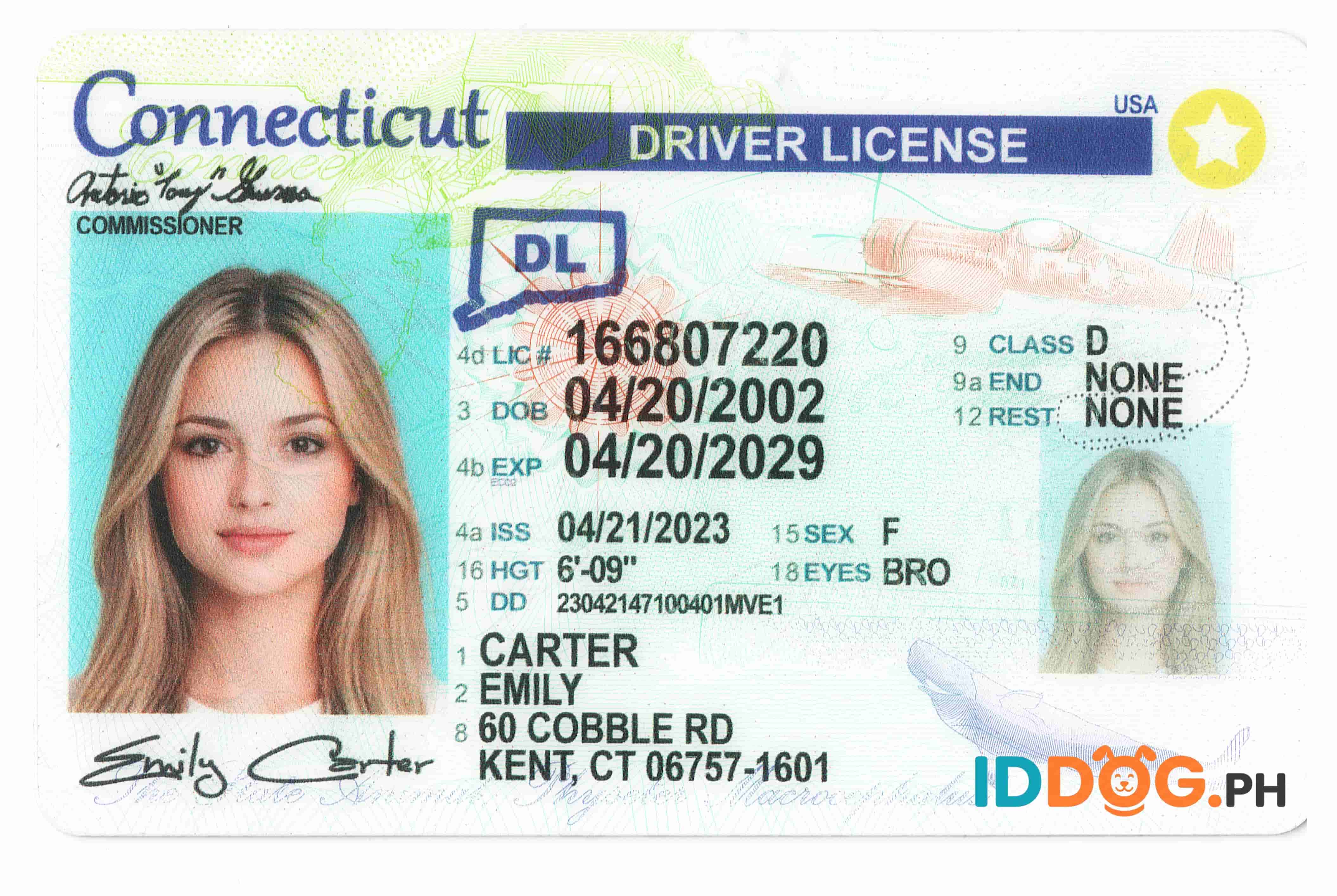 Connecticut Fake ID