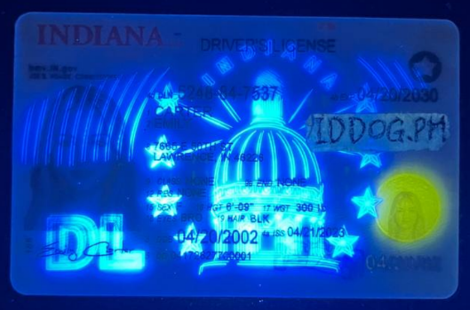Indiana Fake ID