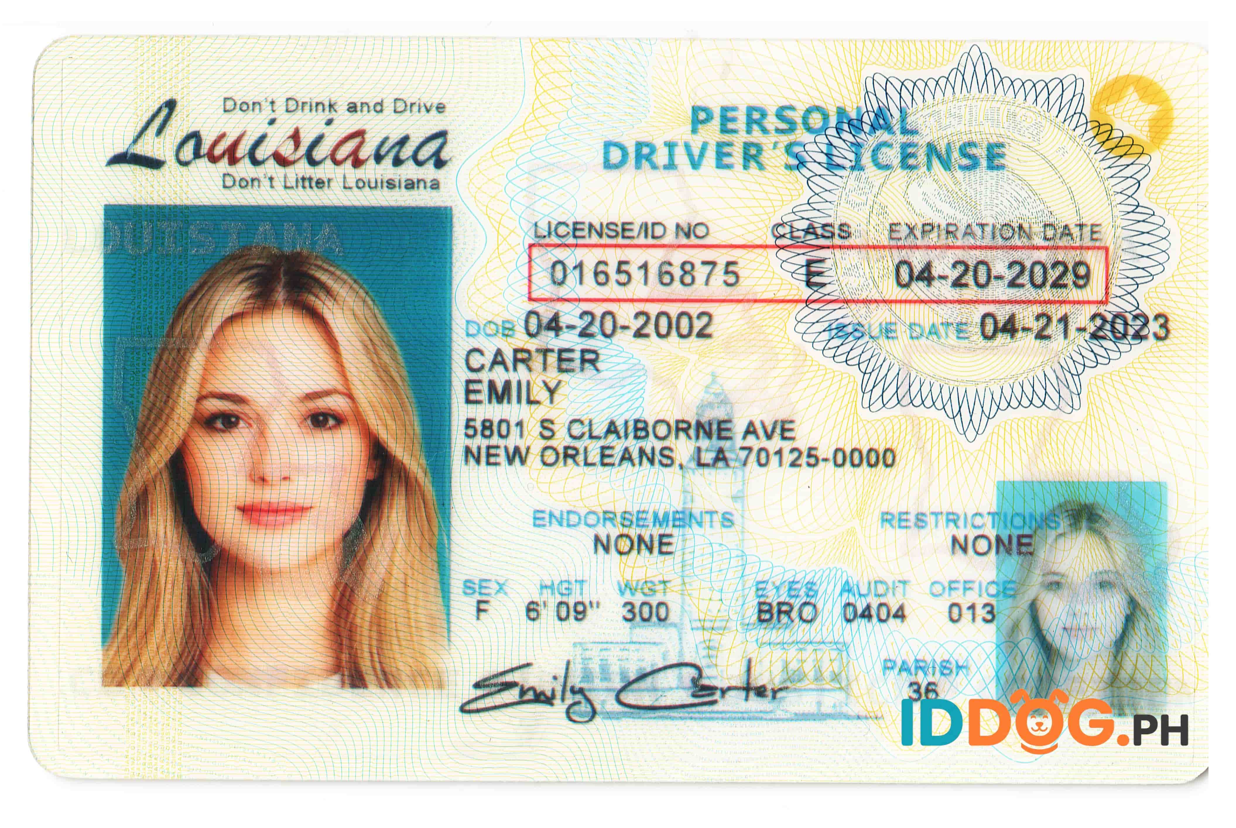 Louisiana (NEW) Fake ID
