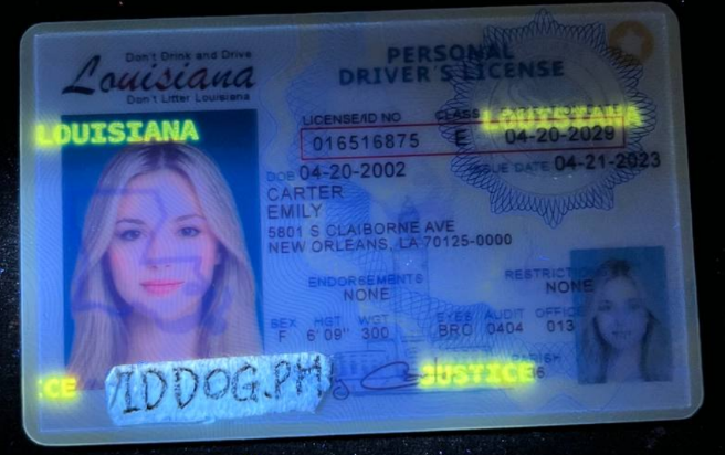 Louisiana (NEW) Fake ID