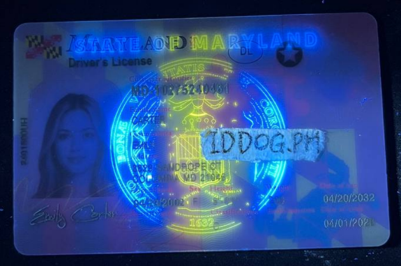 Maryland Fake ID