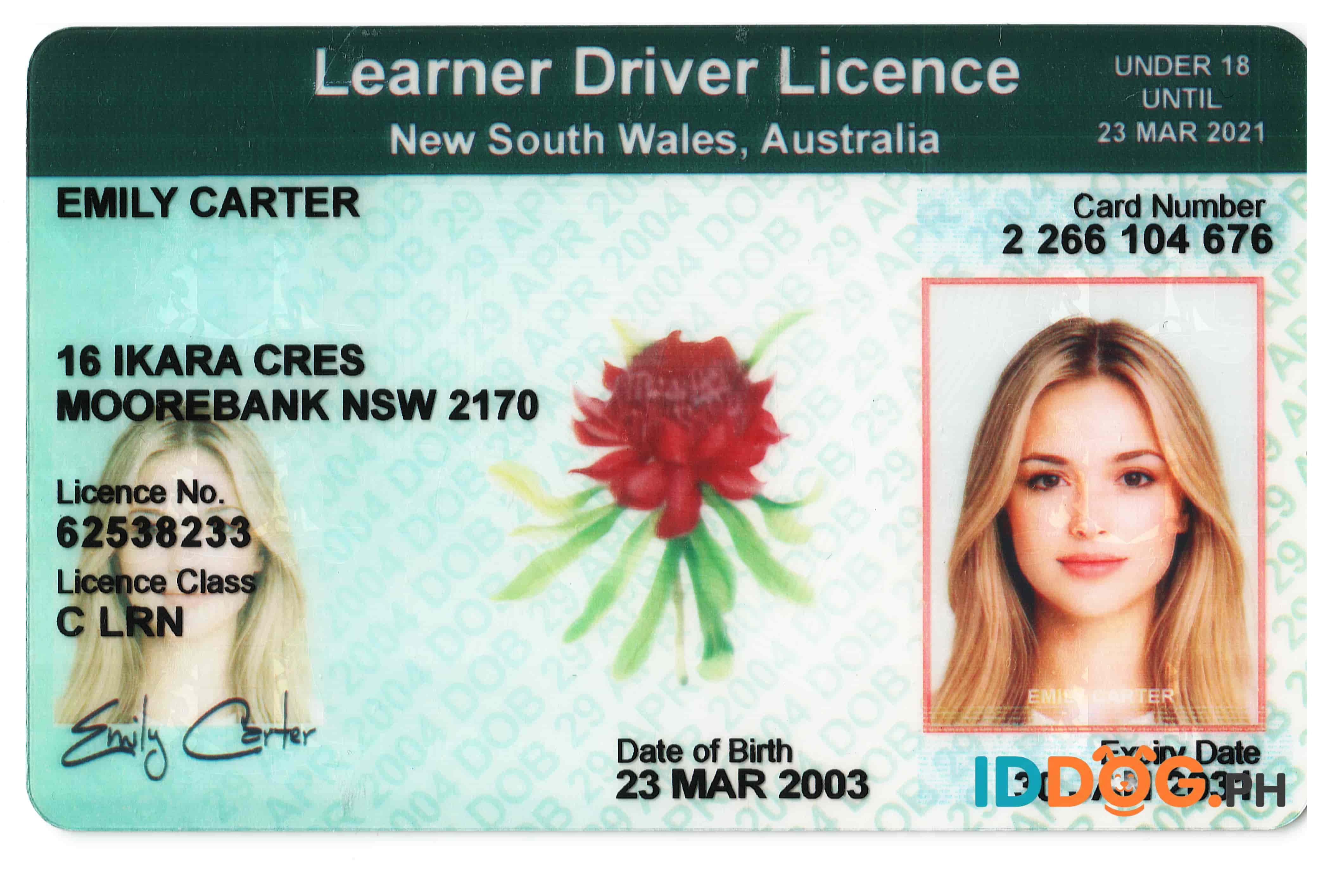 New South Wales Fake ID