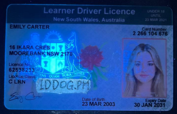 New South Wales Fake ID