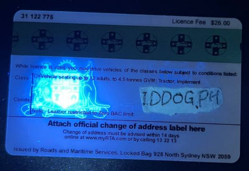 New South Wales Fake ID