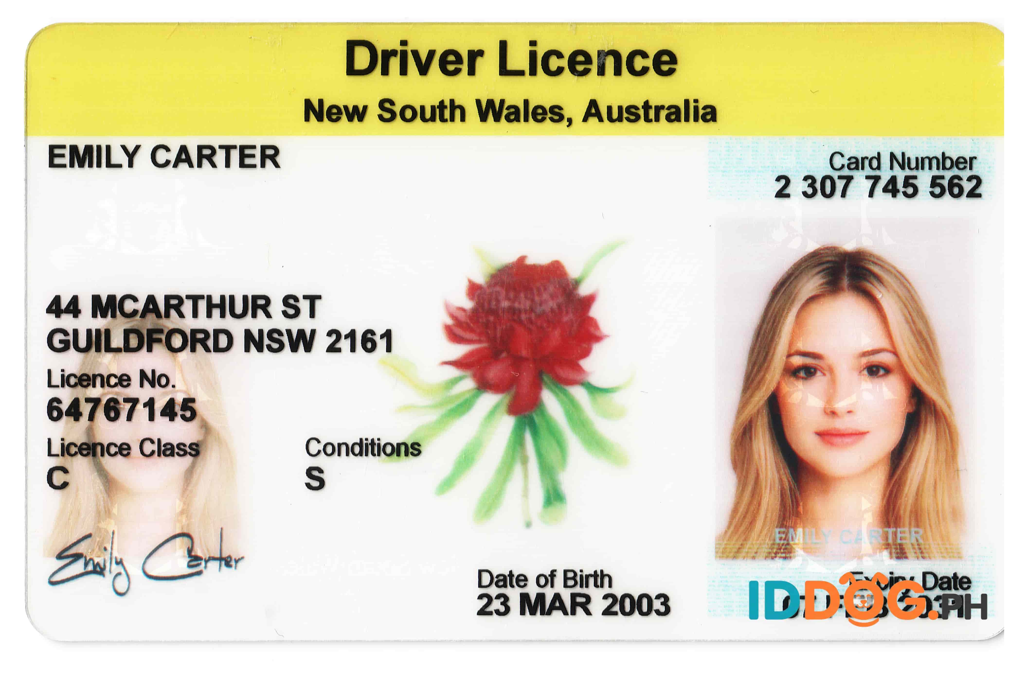 New South Wales Fake ID
