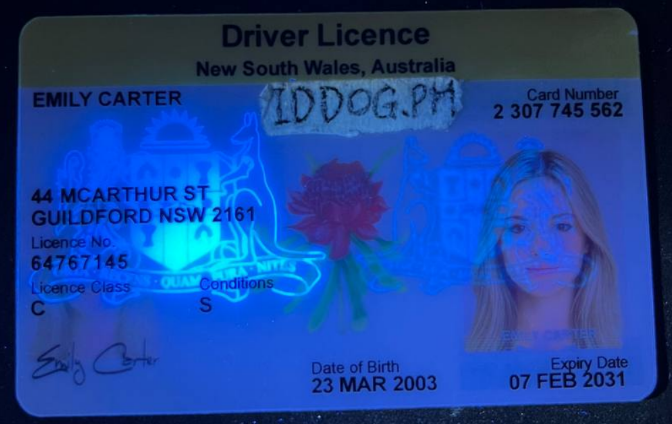 New South Wales Fake ID