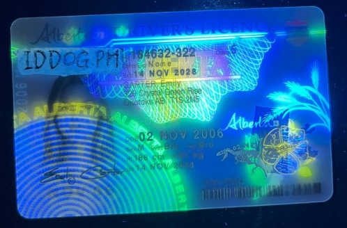 Alberta Fake ID