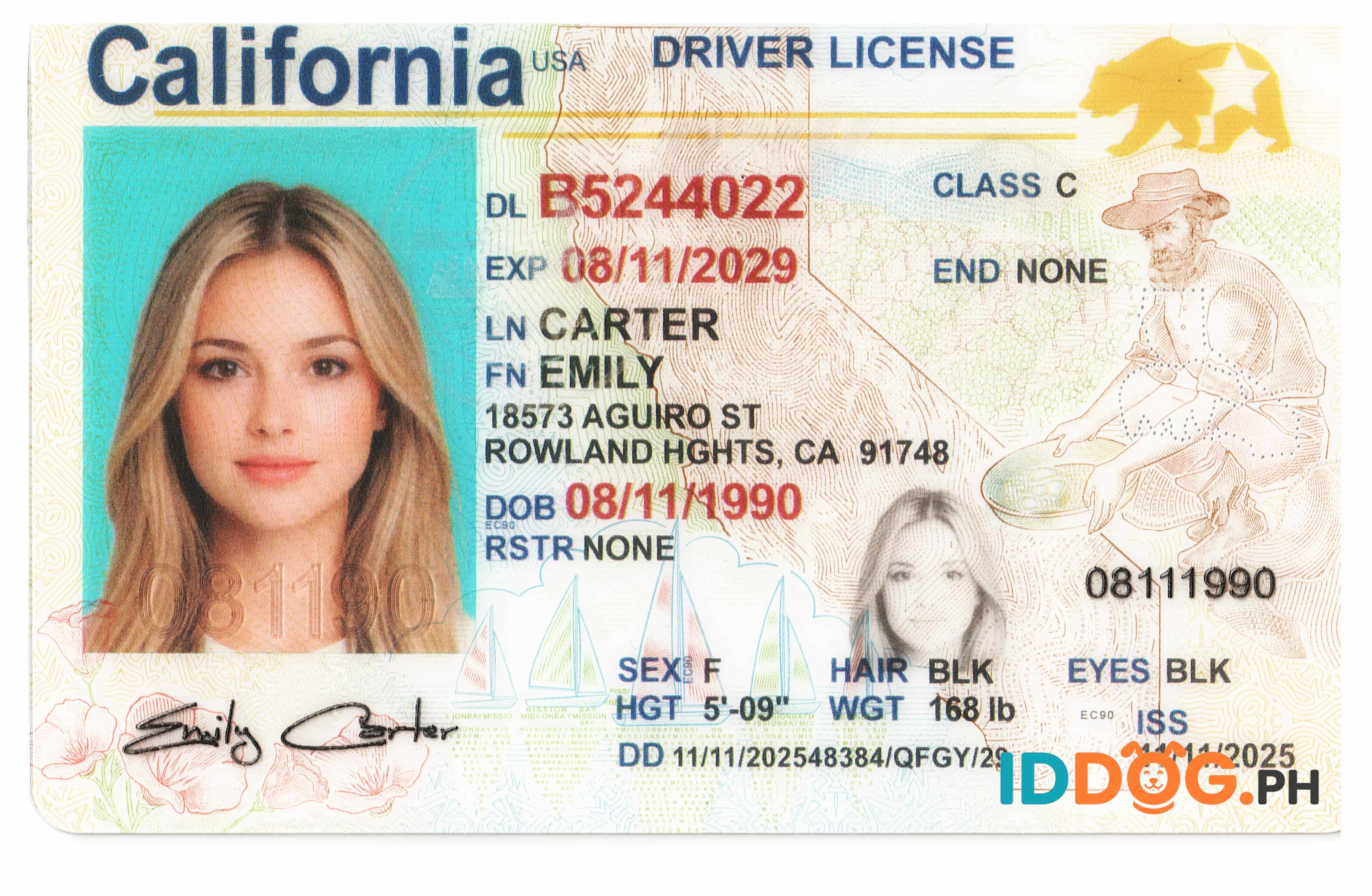 California Fake ID