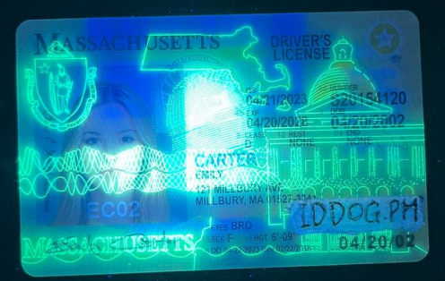 Massachusetts Fake ID