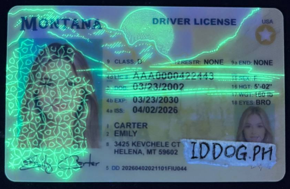 Montana-2(O21) Fake ID