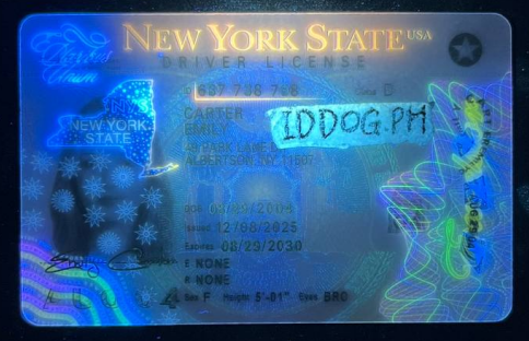 New York Fake ID-(NEW)