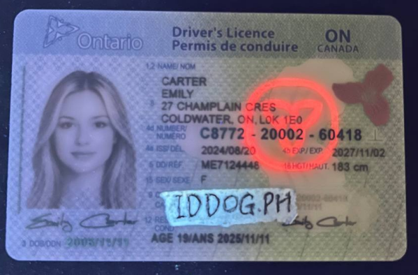 Ontario Fake ID