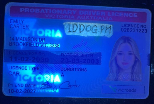 Victoria Fake ID