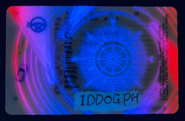 Provisional Fake ID